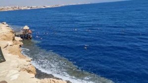 Гранд Отель Шарм Эль Шейх. Египет. Стоит ли ехать?