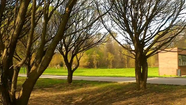 Музыка для релаксации,музыка.Живой Природа