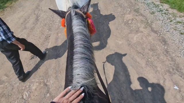 КАРПАТЫ СЛАВСКО . ГОРЫ ТРАСТЯН , ПОГАР . ЭКСКУРСИЯ ОБЗОР смотреть онлайн