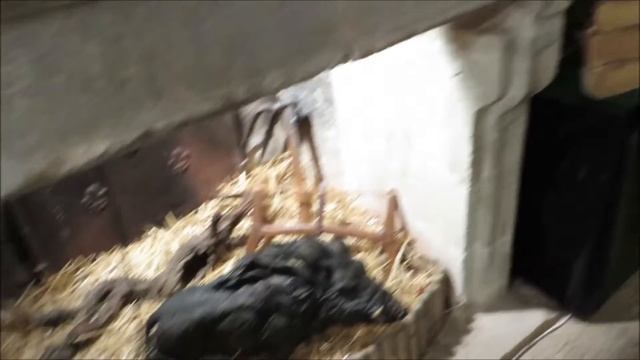 На автомобиле в Европу: город Ле Бо де Прованс смотреть онлайн