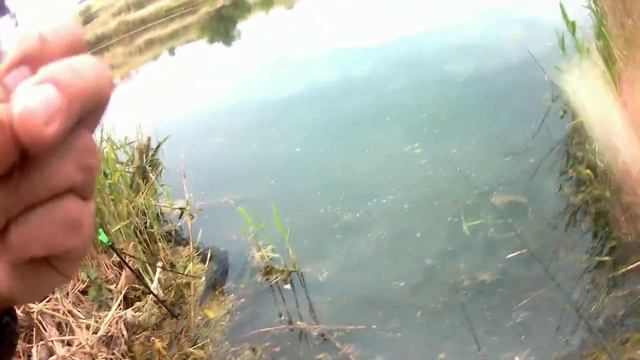 Рыбалка 22.06.2022г.Караси,плотва и маленький лещ! смотреть онлайн