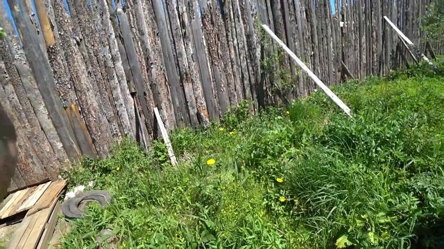 В лог в заброшенные сады 4 июня 2022 1ч. смотреть онлайн