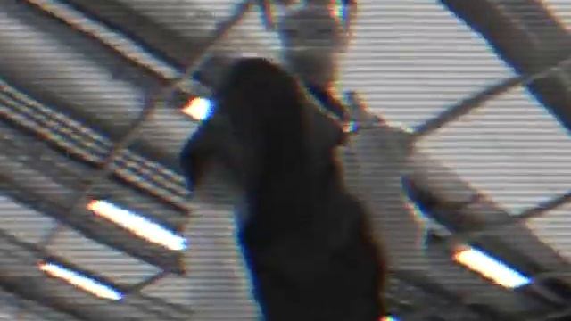 CHRISTMAS CLIPS смотреть онлайн