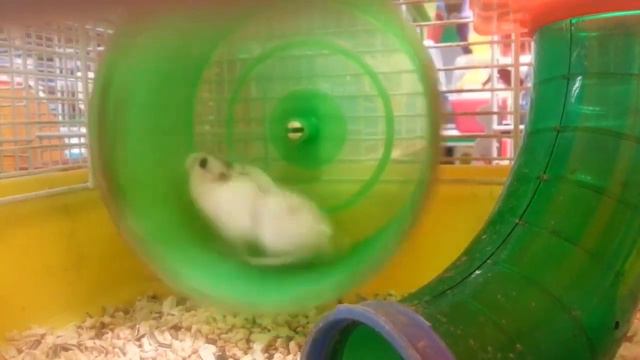 Каждый день видео меняется день 47 смотреть онлайн