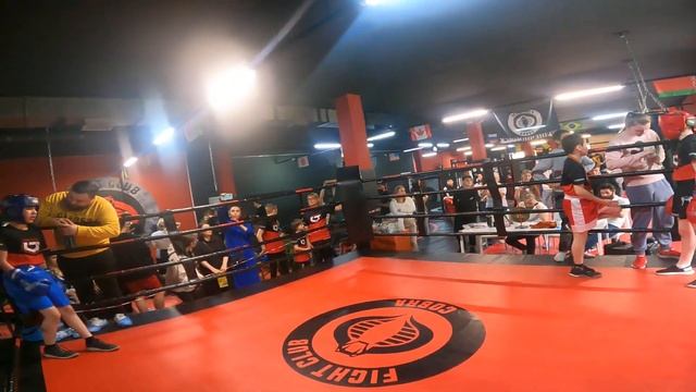 Кобра 29.05.23 бои от 1 лица. смотреть онлайн