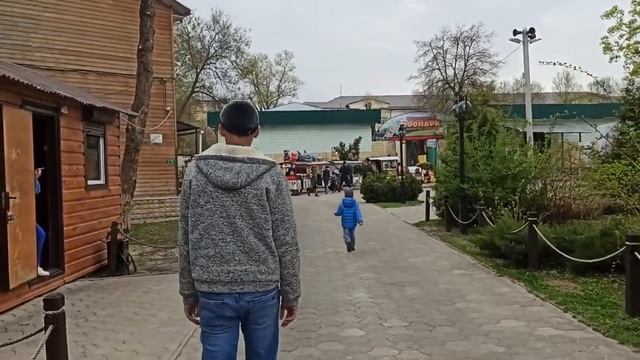 Воронежский зоопарк/ Хищники/ Ранчо/ Ребенок в восторге/ Влог смотреть онлайн