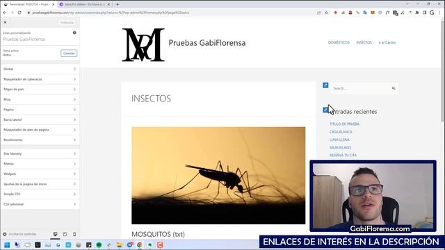 ? Review de ASTRA THEME PRO (Plantilla WordPress) ➜ Qué es, Cómo funciona, Opinión y Precio 2024 смотреть онлайн