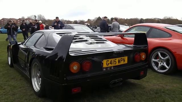 Ferrari F40 Startup & Revs!! смотреть онлайн