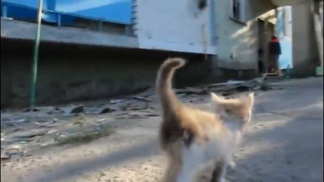 Ходить по лезвию ножа смотреть онлайн