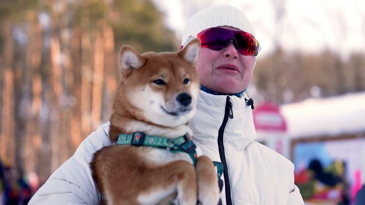 Лыжня России 2024 в Ульяновске, почетный гость Владислав Третьяк смотреть онлайн