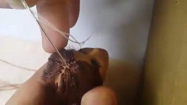 How To Thatch Doll Hair (Factory Thatching) смотреть онлайн