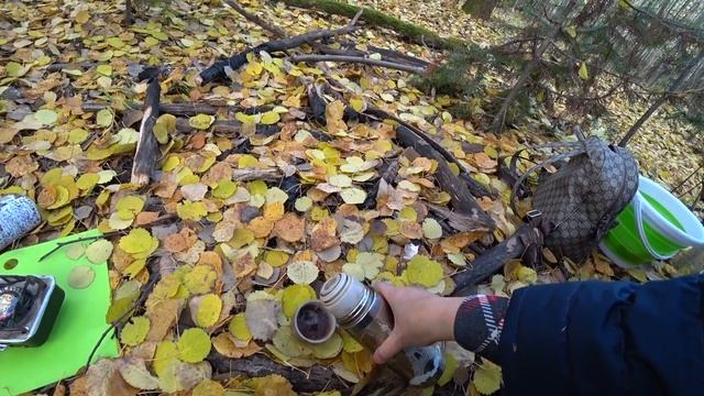 Пришли в лес поесть вкусной каши! Ну и как же без грибов! 2 окт 2021 2 часть смотреть онлайн