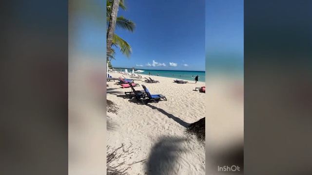Обзор отелей Catalonia Grand Dominicus 4 звезды Доминикана