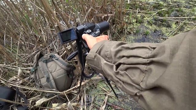 ЛОВЛЯ КАРАСЯ НА ЧЕСНОК! Повел, повел, Опа, есть! Рыбалка на поплавок 2018. смотреть онлайн