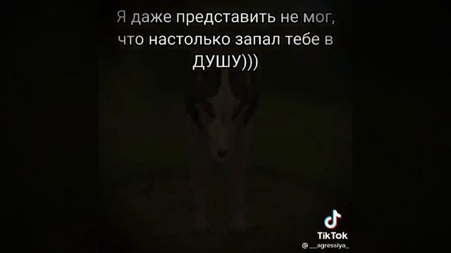 Подборка WildCraft TikTok 1# смотреть онлайн