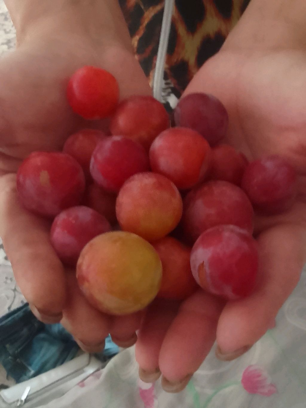 собираю рюкзак к школе