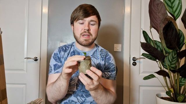 Plant Order Unboxing & Rare Plant Find! (9 Plants & What We Paid)