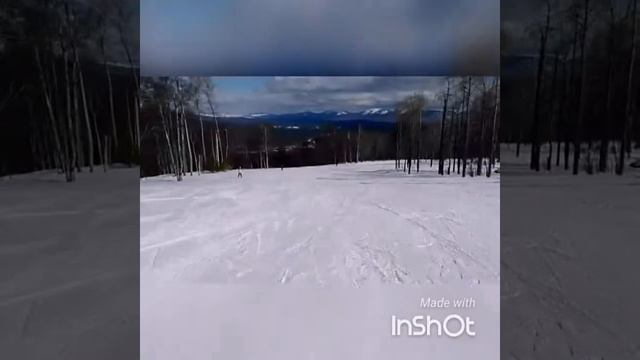Еду кататься на лыжах? VIOG⛷🐕🐩🐕 смотреть онлайн