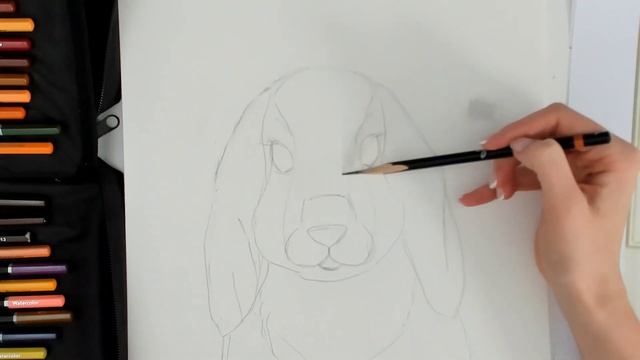 ART on MONDAYS - Lesson 3, 2021 - Fluffy bunny with pencil toning смотреть онлайн