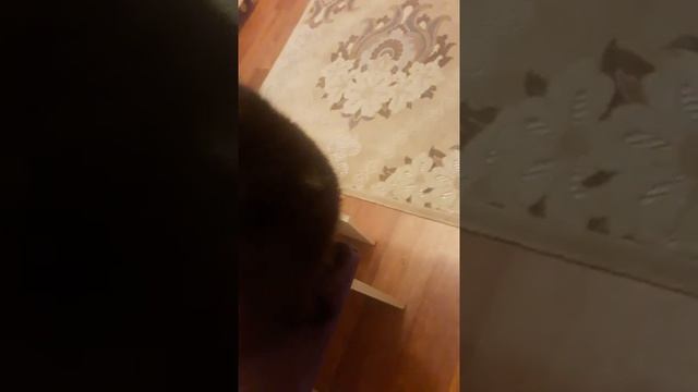 жизнь сони(8) смотреть онлайн