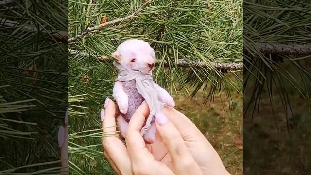 Игрушка Тедди Фиалковый мишка. смотреть онлайн