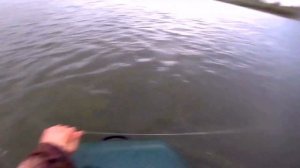 Как сделать снасть для ловли чехони на реке! Рыбалка на Дону 2021!