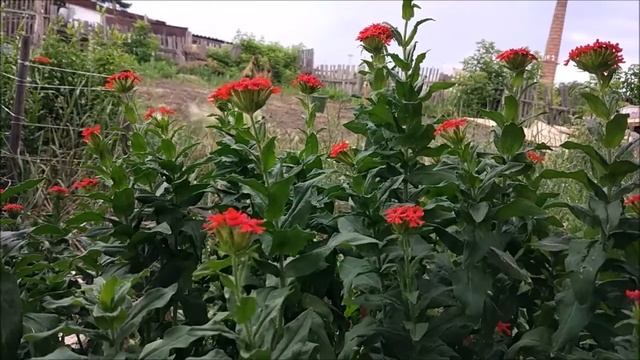 Власть, ее происхождение и виды