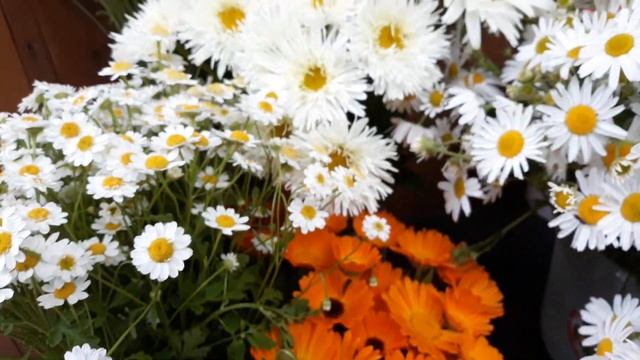 Цветы на срезку. смотреть онлайн