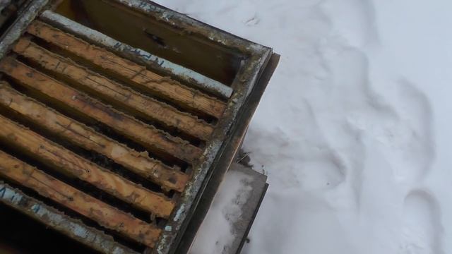 ГДЕ ЛУЧШЕ...Зимовка пчел с разным утеплением