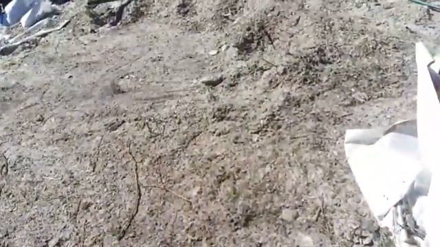 Полноприводный трактор..МУЛ.. запуск в эксплуатацию.работа по хозяйству. смотреть онлайн