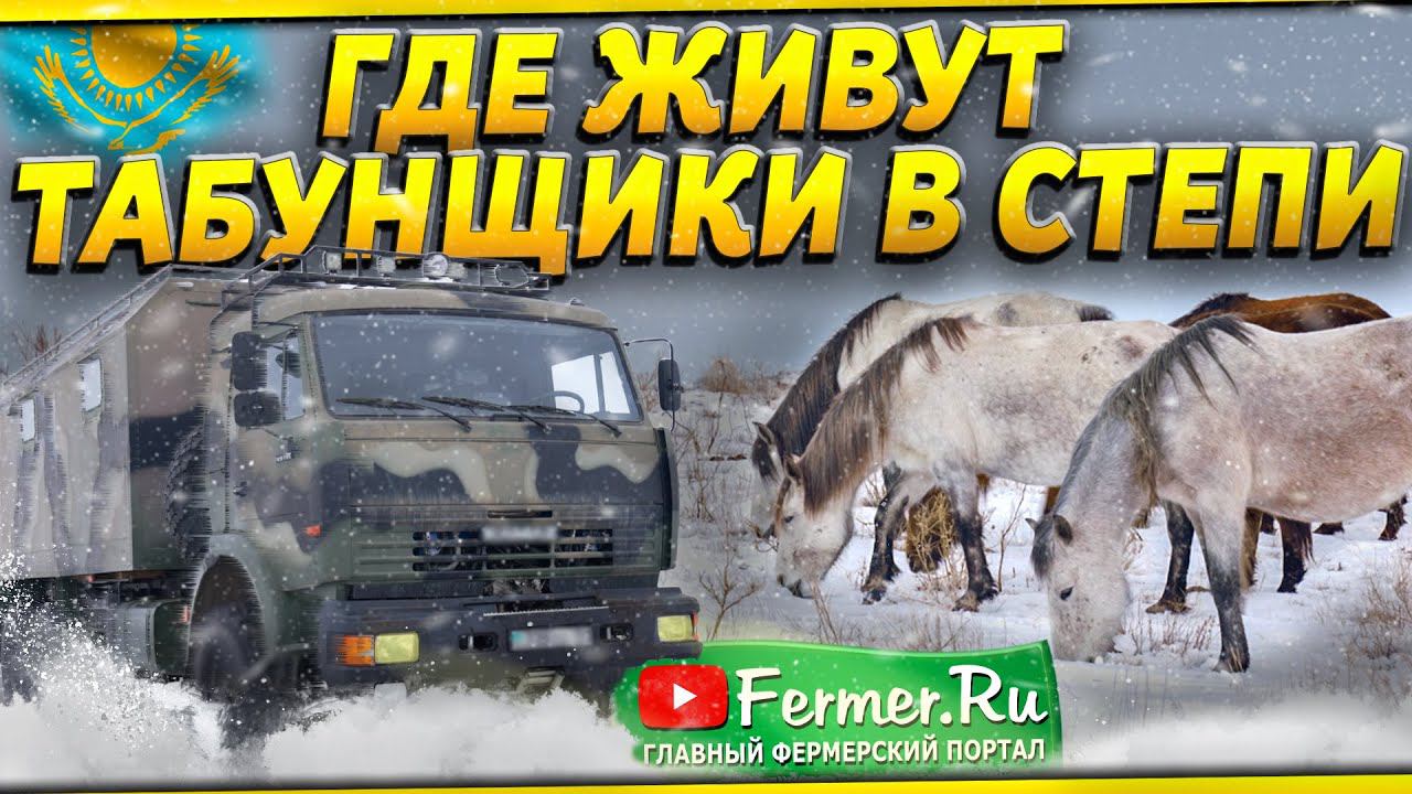 Беседы о коневодстве. Табун лошадей зимой. КУНГ для коневодов. Бауржан Оспанов, Ерагый Гишларкаев смотреть онлайн