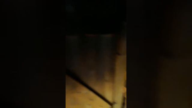 Скрытая камера в бане.