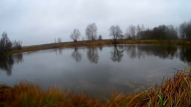 Ловля щуки на поплавок с берега. Ловля щуки на живца. смотреть онлайн