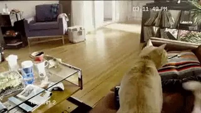 Как же скучно я живу!!! смотреть онлайн