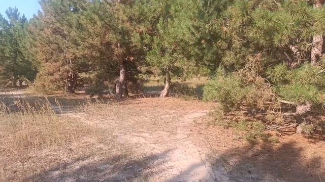 ТИТАНОВЫЙ ЗВЕРЬ! Защищенный планшет Oukitel RT7 TITAN 5G с рекордными 32 000 мАч и 22ГБ RAM смотреть онлайн