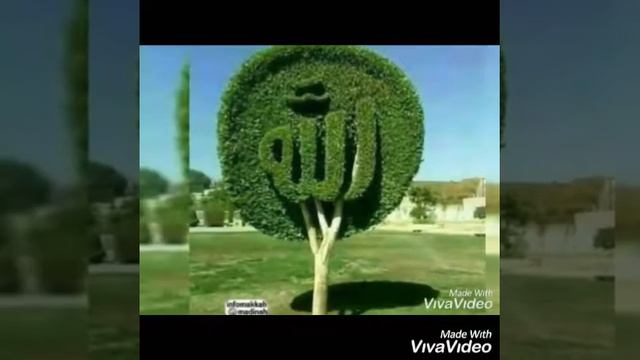 Исламская религия смотреть онлайн