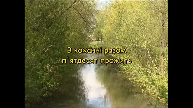 Весілля золоте (Караоке) - Караоке з медом 4 смотреть онлайн