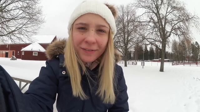 Vlogg | Bugaboo Donkey2 Recension! смотреть онлайн