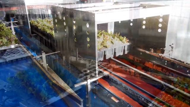 Пересадка растений из палеток (кассет) в палетку/кассету, горшки в поддоне модель RW32 смотреть онлайн