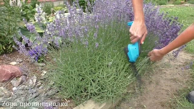 Строительные Шаблоны