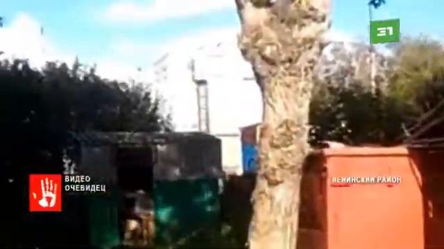 В Ленинском районе образовались озера из нечистот смотреть онлайн