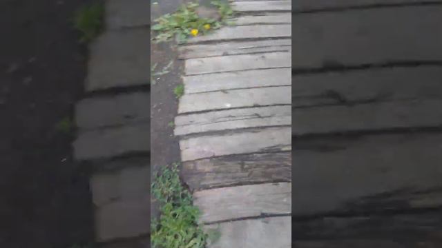 Ролик называется так ой роль будет называться показ ограду и мы показываем всё показываем награду и смотреть онлайн