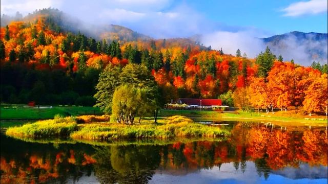 Вы не заключены в это тело смотреть онлайн