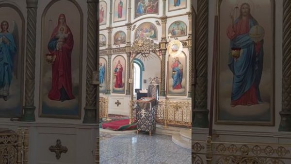 video_4627973343776.mp4