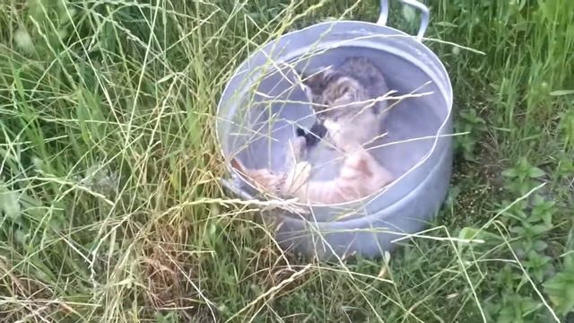 Вот что значит выражение 