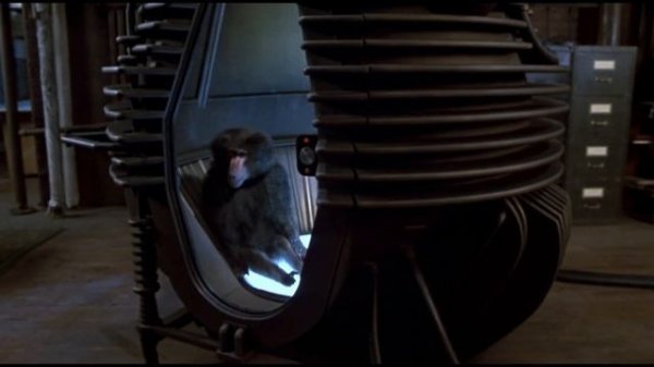The Fly 1958 VS. The Fly 1986 | Let's Dissect These Classics