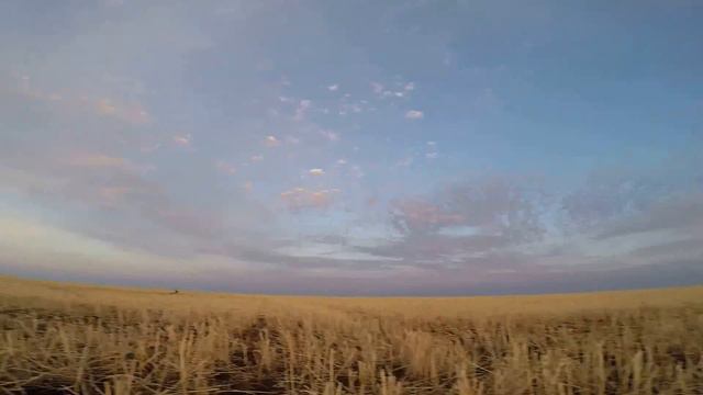 Налет одинокого матроса. смотреть онлайн