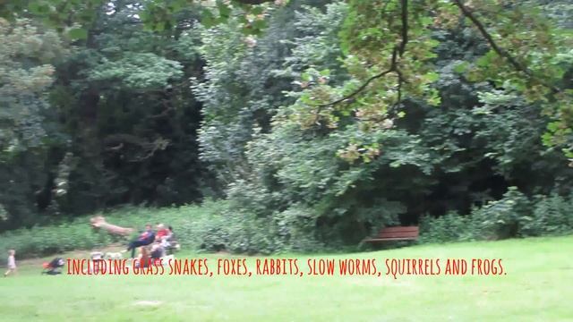 Hampstead Heath Park in London смотреть онлайн