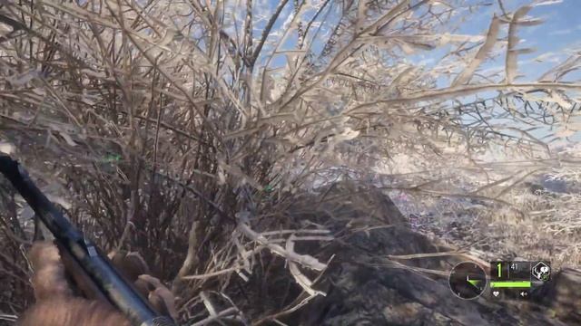 theHunter Call of the Wild прохождение. Часть 46 - Федеральная экослужба (Бурый медведь) смотреть онлайн