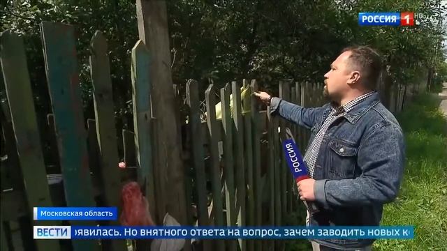 Шитова заперла собак зимой на холодной даче без еды смотреть онлайн